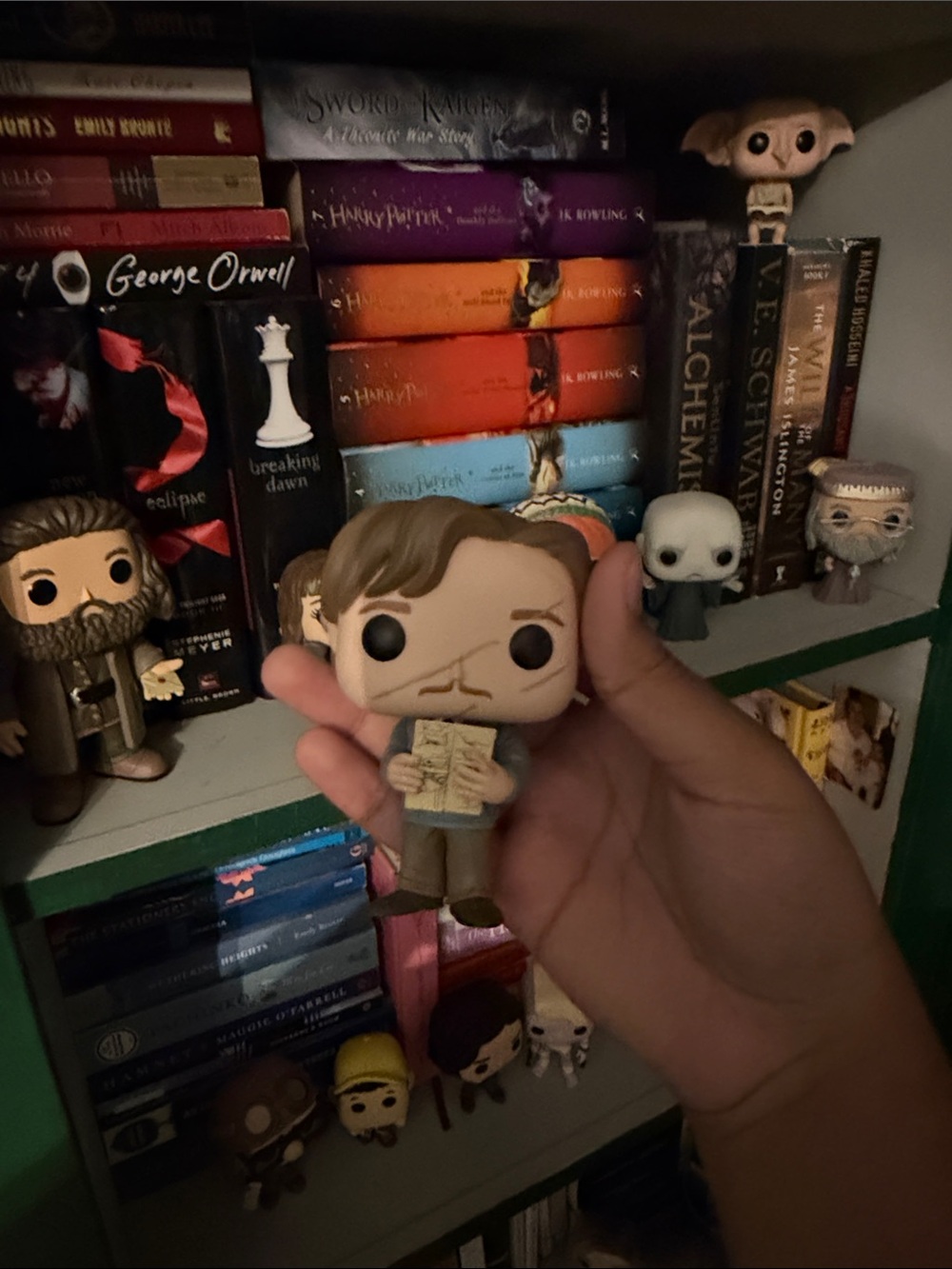 Remus lupin funko pop